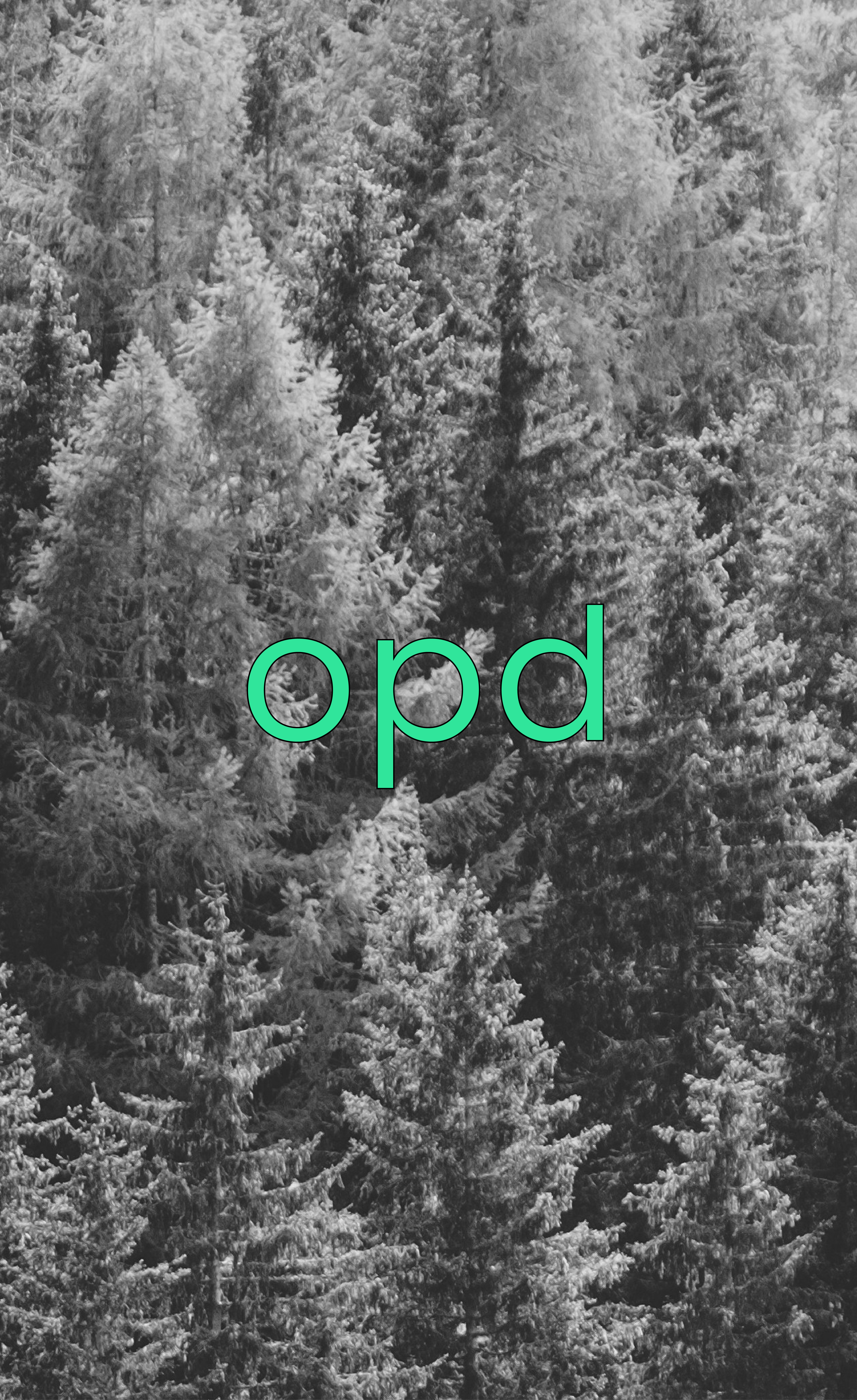 Onepineday Services FAQ photo